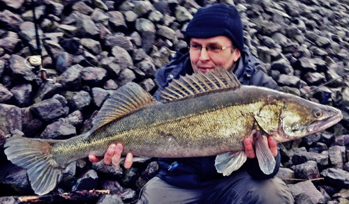 ASV Hamburger-Angler e.V. Zandertreffen 131214 27