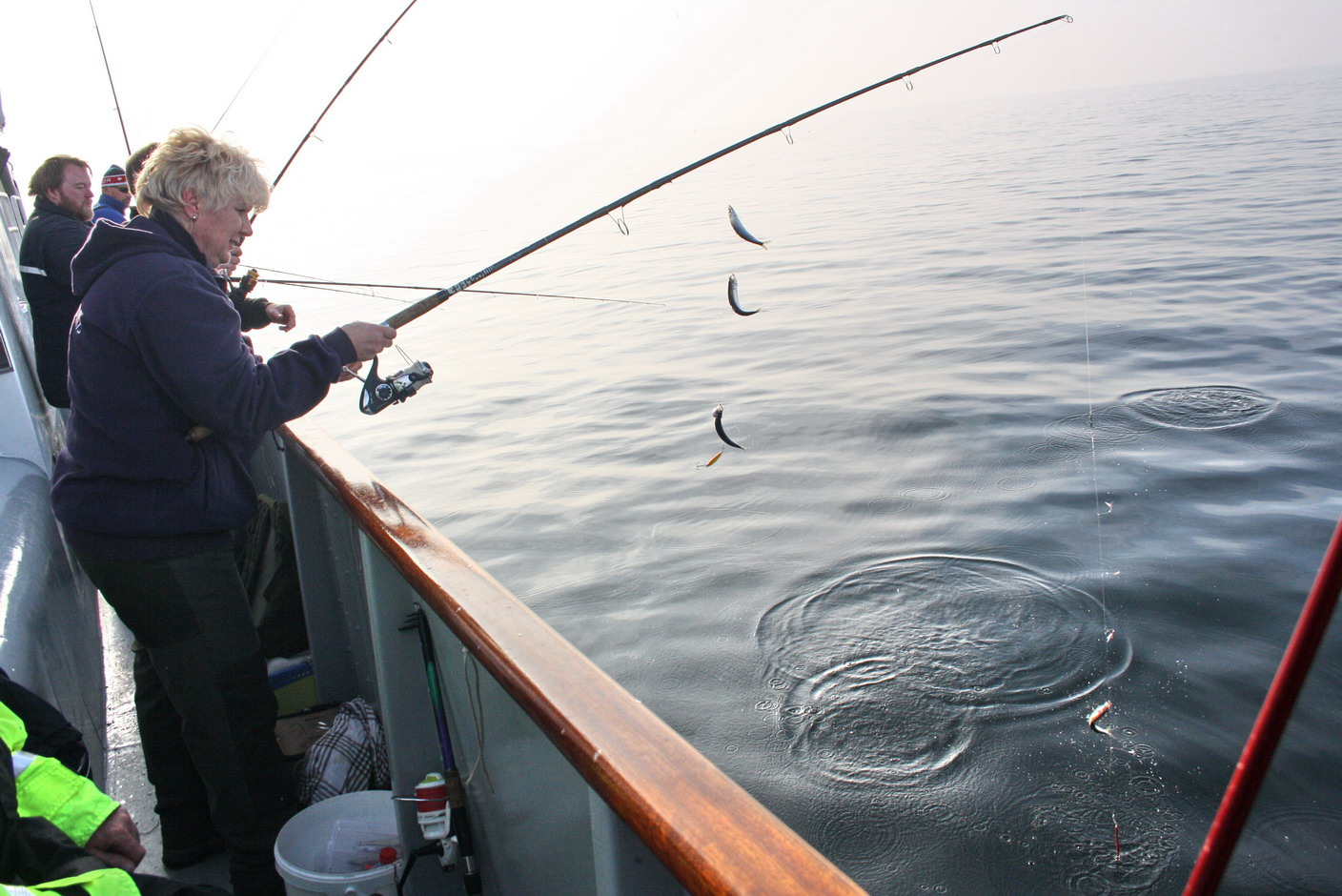 ASV Hamburger Angler e.V. Kuttertour 15110110