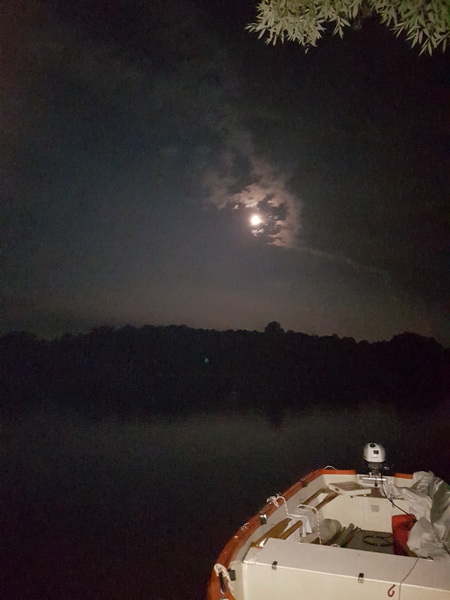 ASV Hamburger Angler e.V. 160620 OldieNachtangeln13