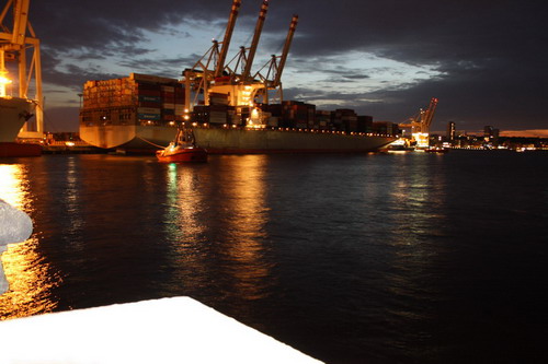 ASV Hamburger-Angler e.V. Aalangeln 14060744