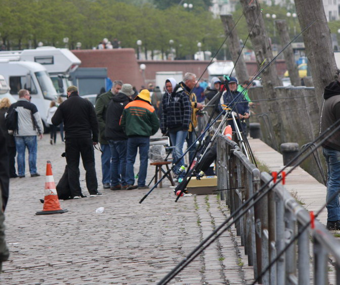ASV Hamburger Angler e.V. Zander Auftaktangeln 15051632